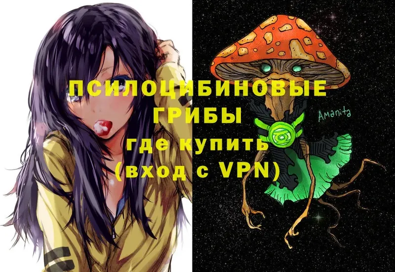 KRAKEN tor  Сатка  Галлюциногенные грибы Magic Shrooms 